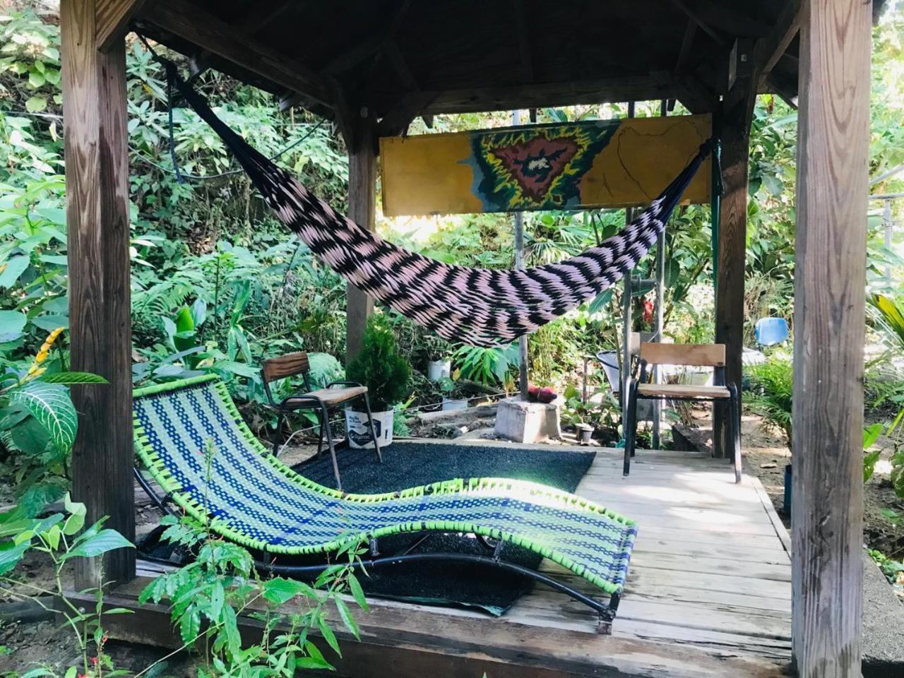 Hostal Las Mariposas Minca Exterior foto