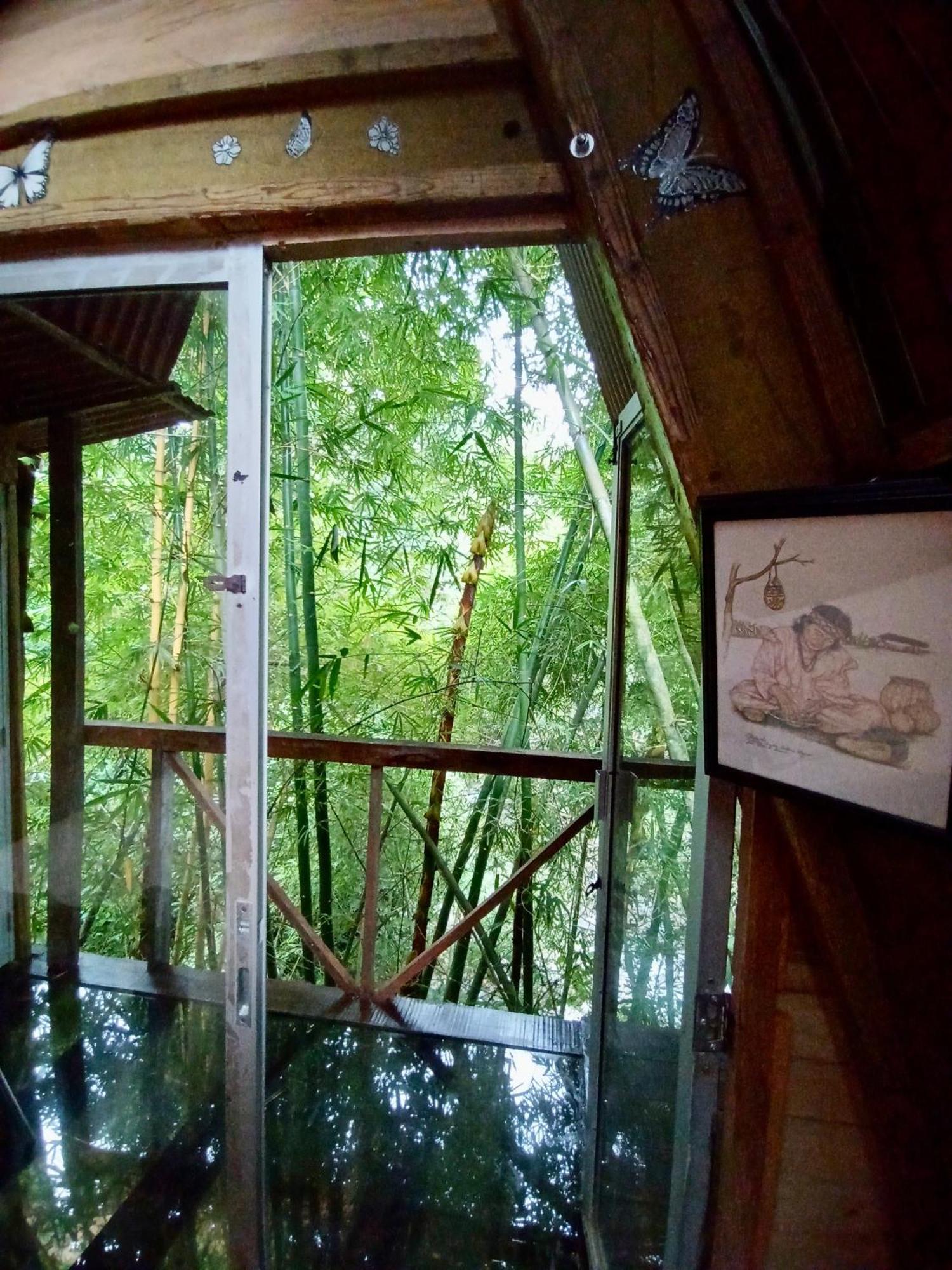 Hostal Las Mariposas Minca Exterior foto