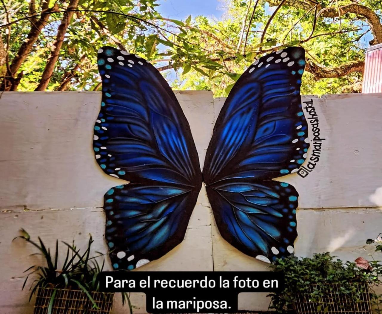 Hostal Las Mariposas Minca Exterior foto